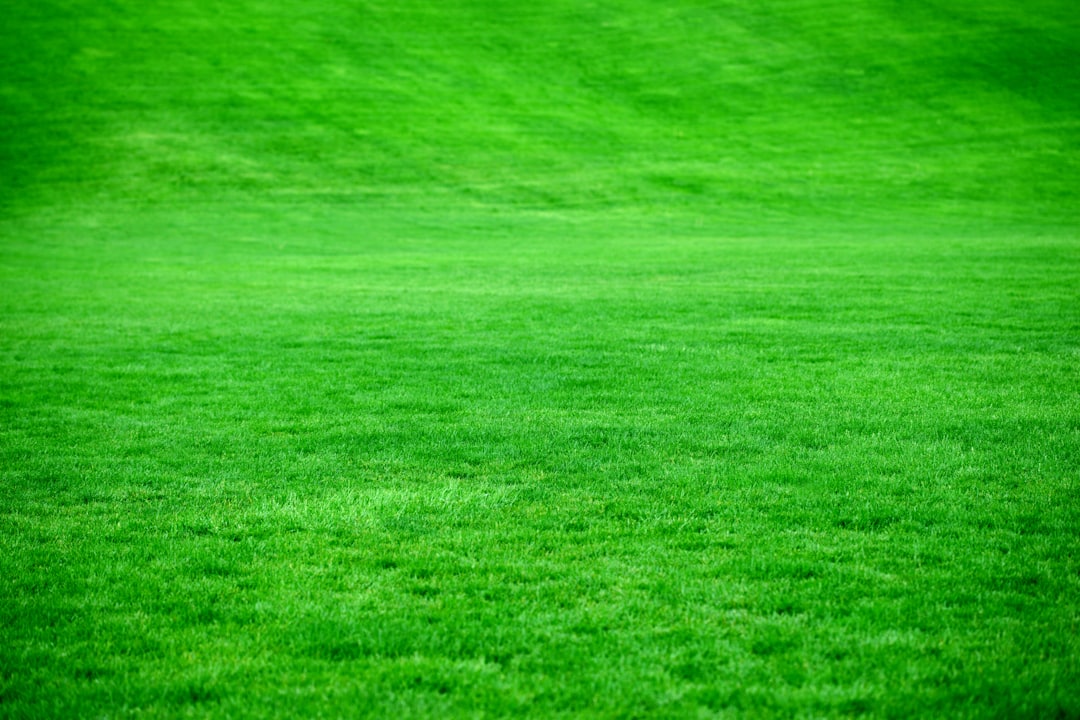 Lawn Care